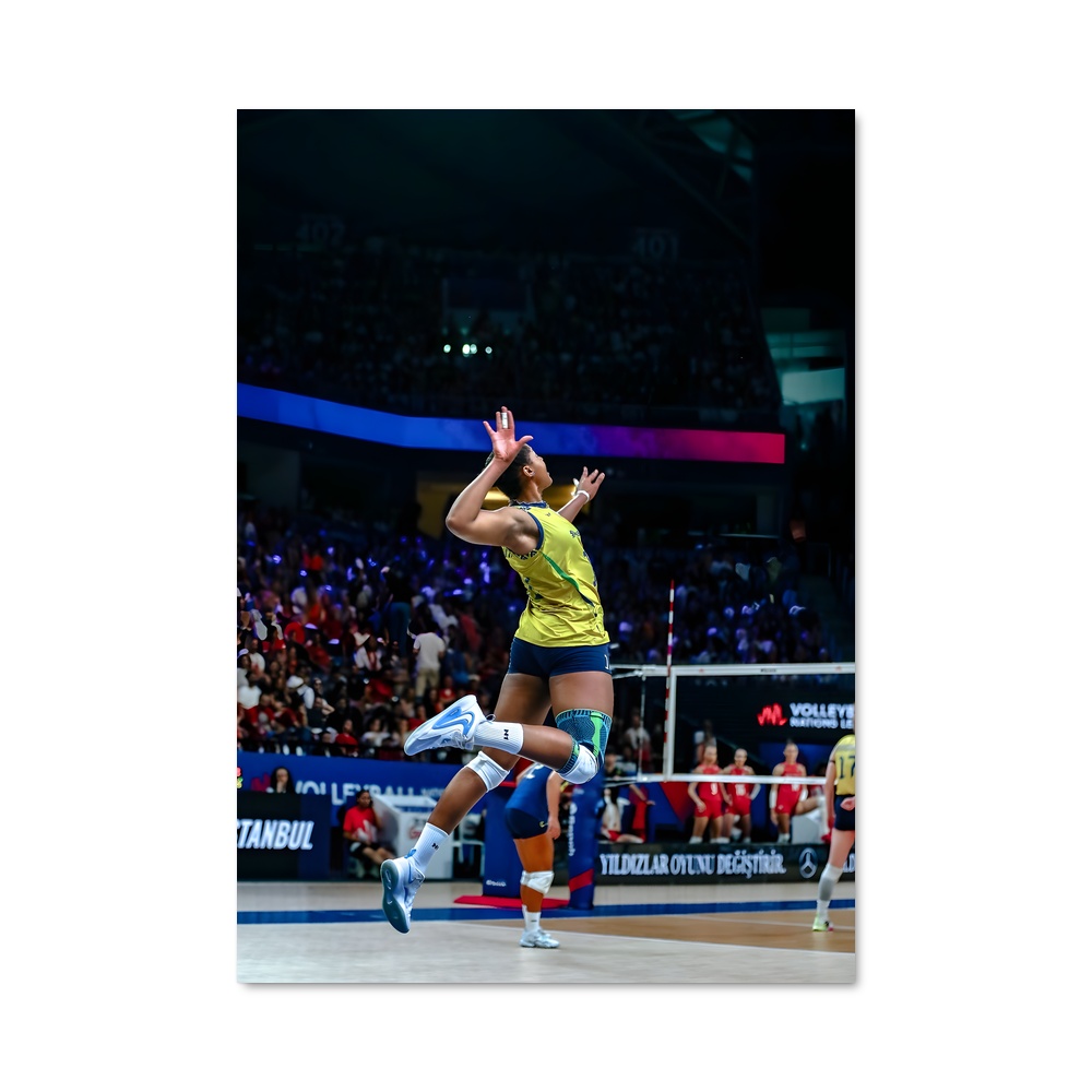 Poster Saut de Volée